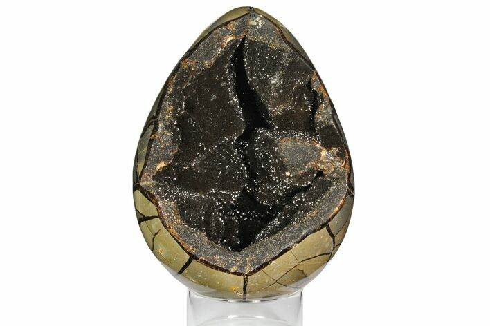 Septarian Dragon Egg Geode - Black Crystals #145255